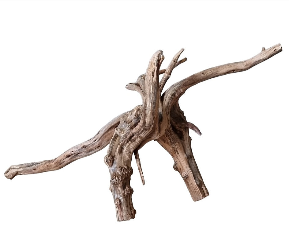 WIO Tree Trunk Wood Wurzel 330