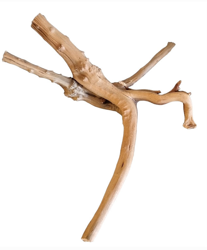 WIO Tree Trunk Wood Wurzel 349