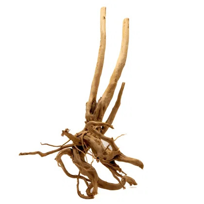 Spider Wood - Wood Stumps je 1kg