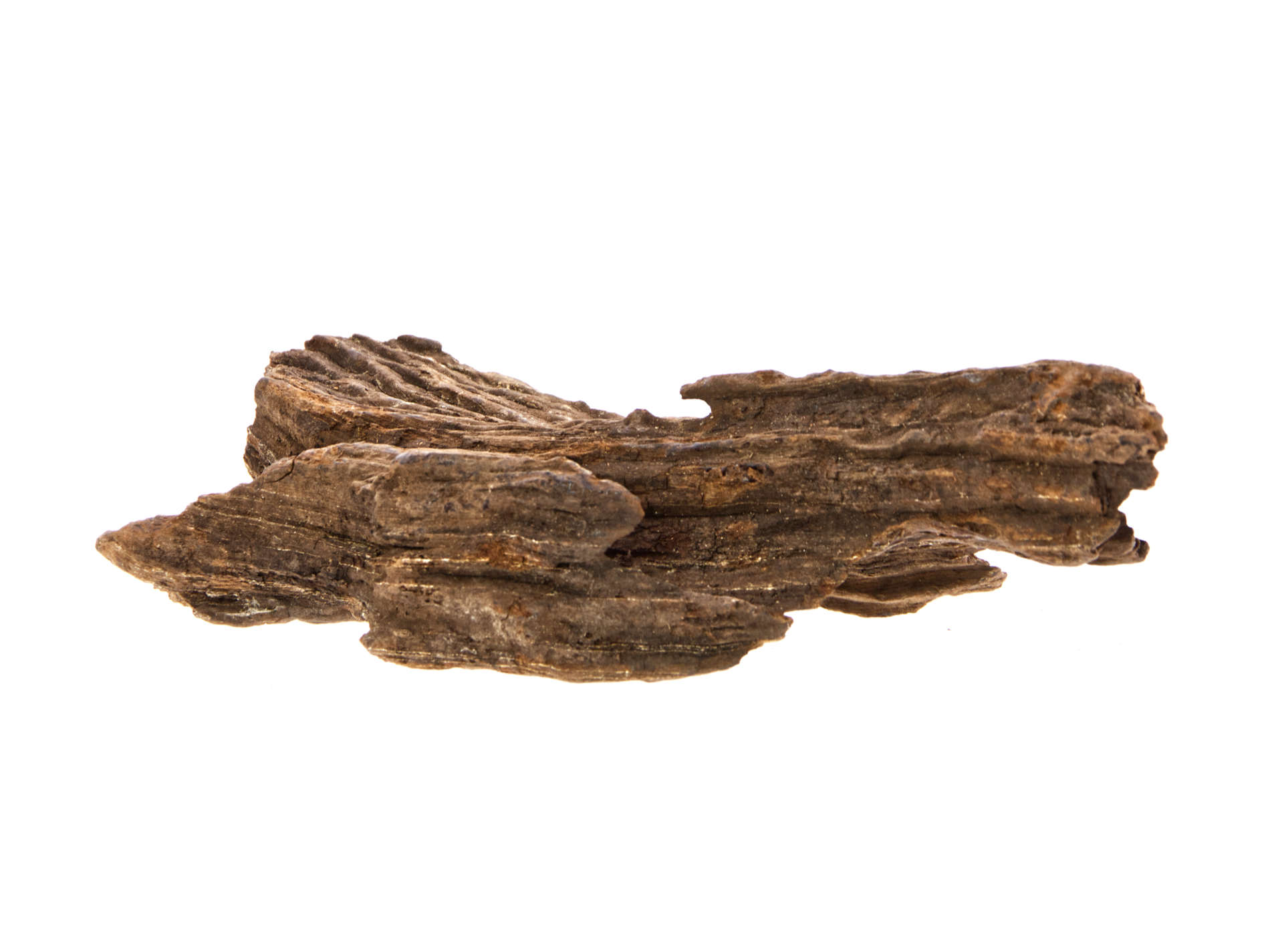 Driftwood