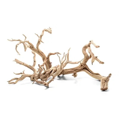 Ghostwood