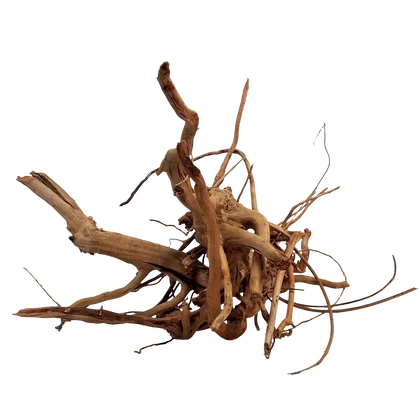 Biotop Bed Roots - Wood RiverBed