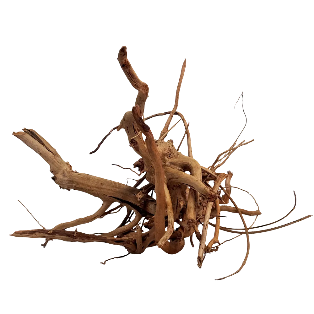 Biotop Bed Roots - Wood RiverBed