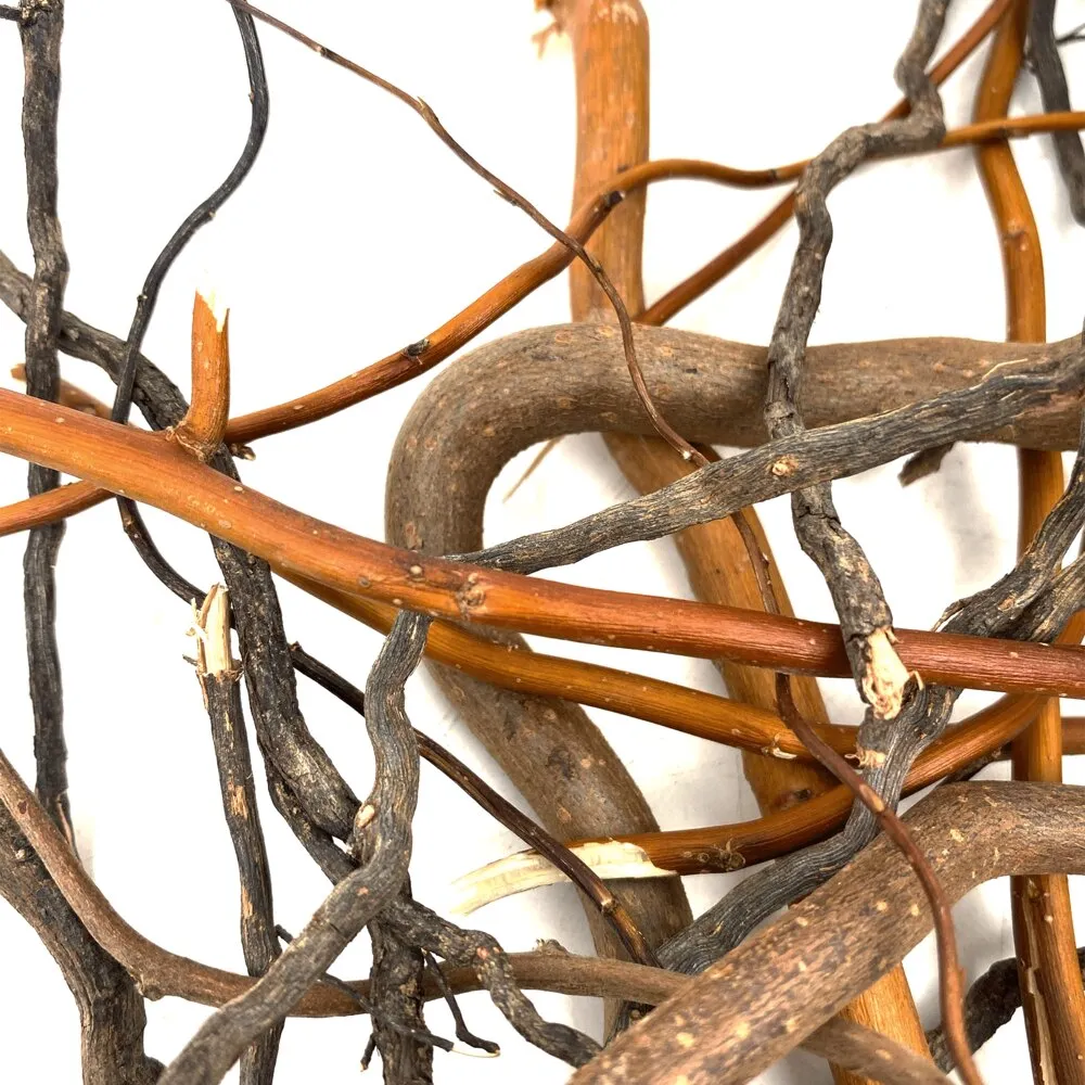 WIO - Roots - Mix Root - 10-30 cm - 140 g