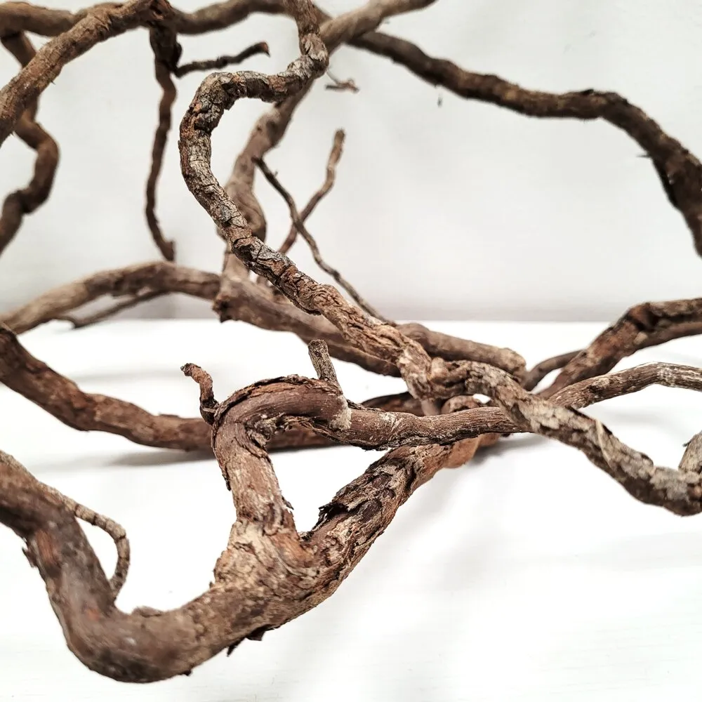 Decor-Roots - Elder Root Mix